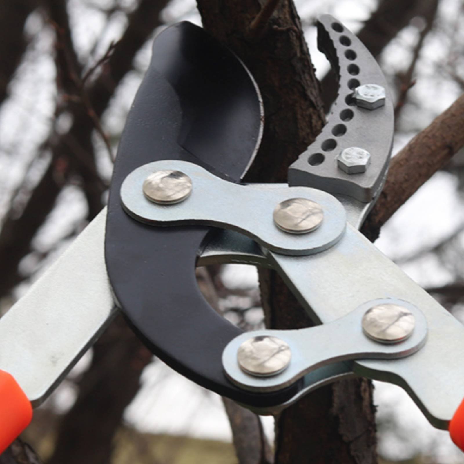 Gardening Tools In - Pemangkas Cabang Teleskopik Pisau Tajam Pemangkas