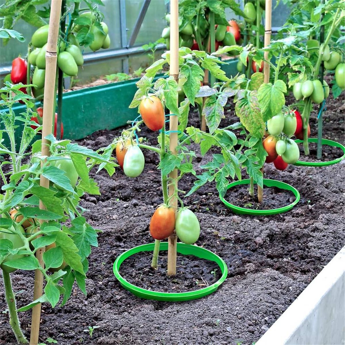 【PENAWARAN COUNTDOWN】 4 Cincin - Gardening Tools Deals ulasan dan harga