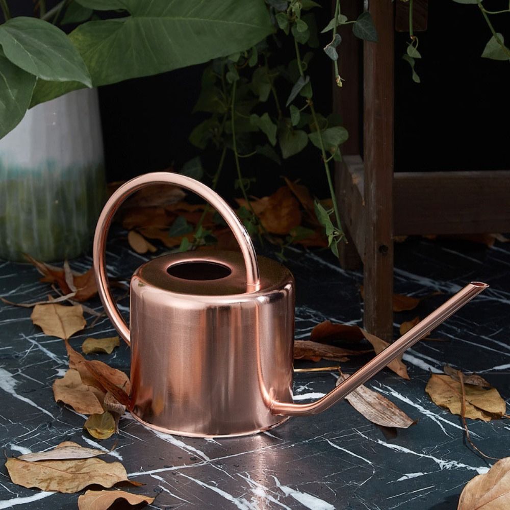 u 1.3L Penyiram Tanaman Stainl - Watering Can Long Spout ulasan dan harga