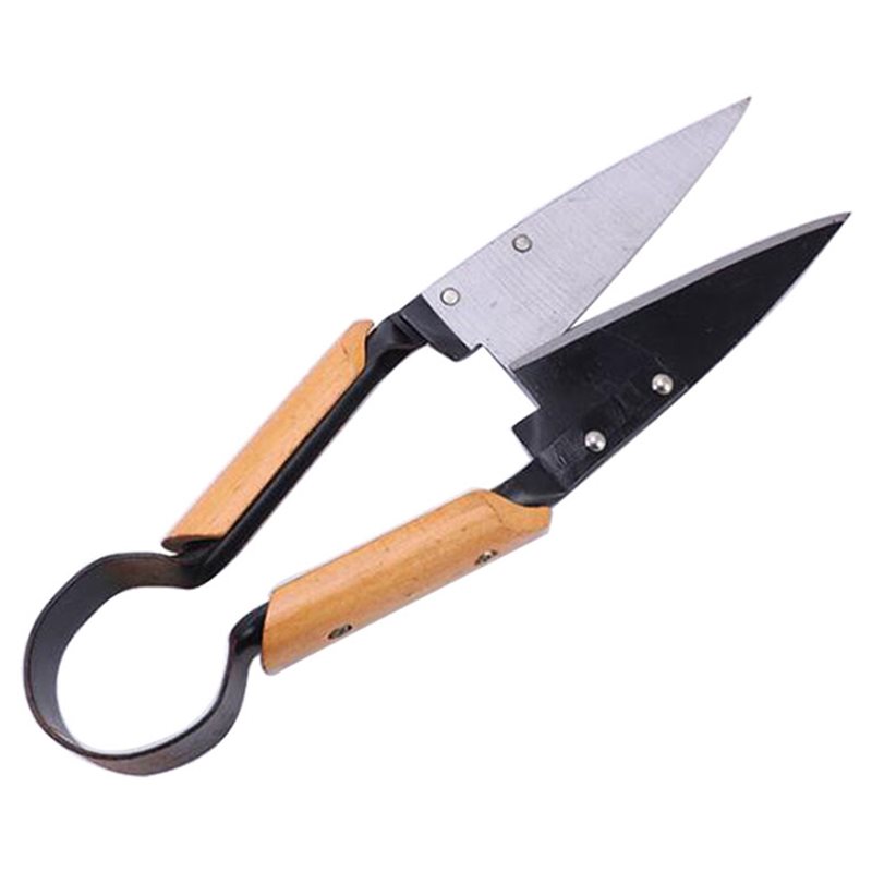 【FLASH DEAL】Gunting Pangkas Ta - Gardening Tools Deals ulasan dan harga