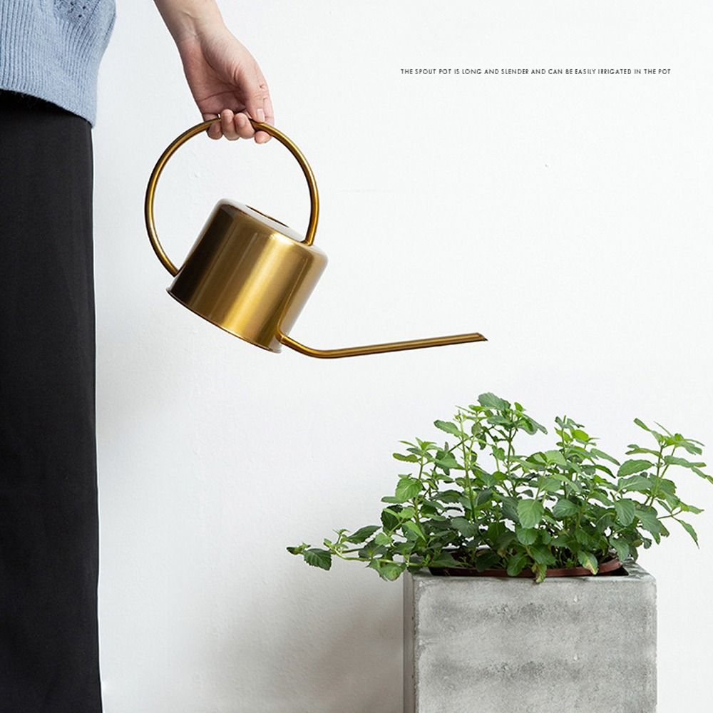 U Kualitas Tinggi 1,3L Ketel P - Watering Can Long Spout ulasan dan harga