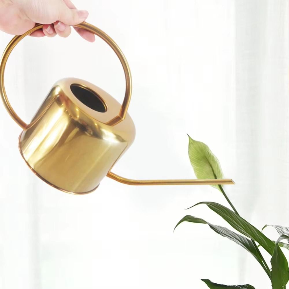 U Kualitas Tinggi 1,3L Ketel P - Watering Can Long Spout ulasan dan harga
