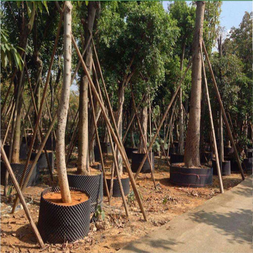Alat Transplantasi Tanaman Bon - Gardening Tools In ulasan dan harga