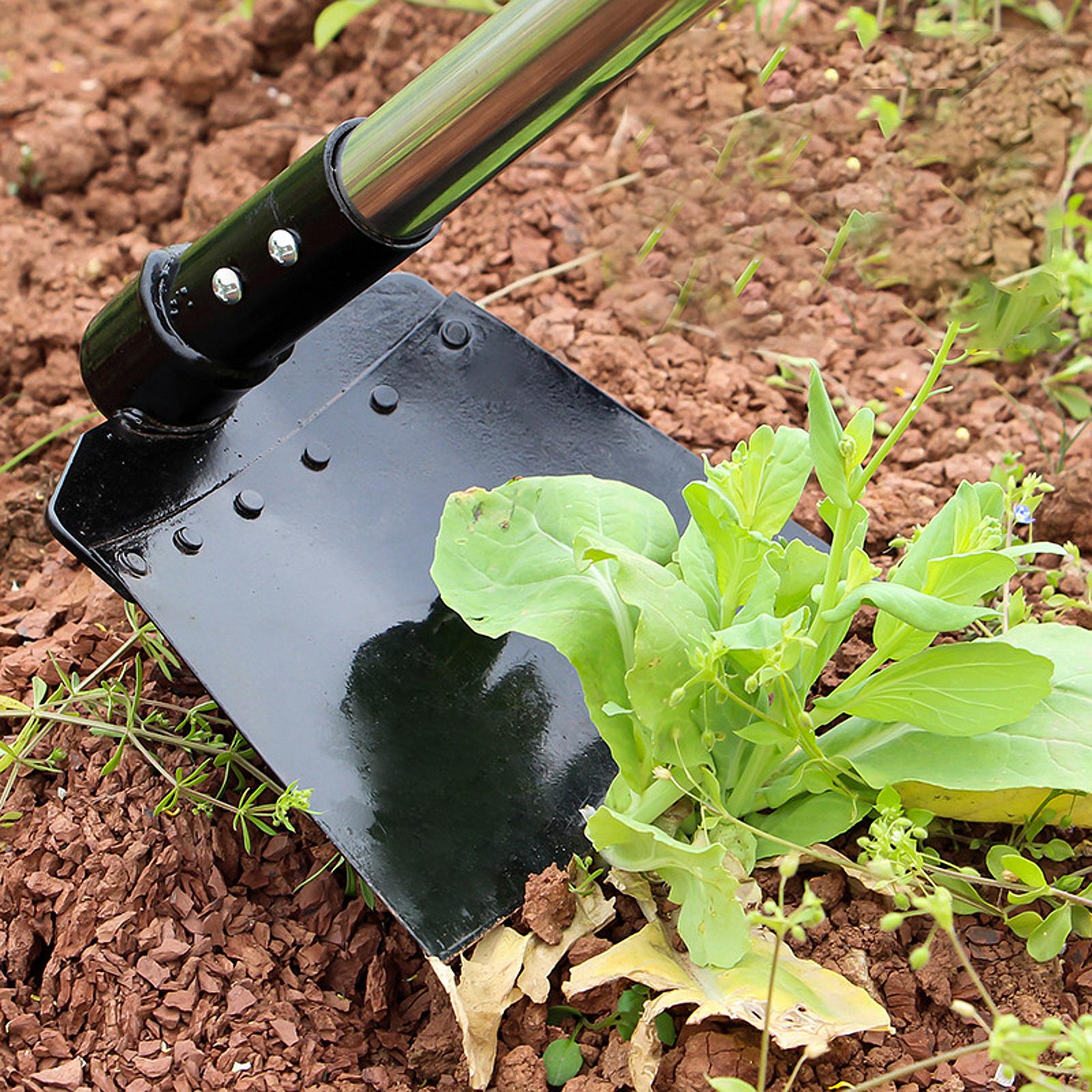 Cangkul Sabit Penyiangan Alat  - Gardening Tools Long ulasan dan harga