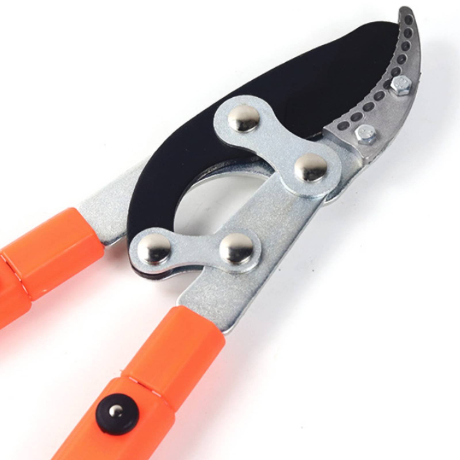 Pemangkas Cabang Teleskopik Pi - Gardening Tools In ulasan dan harga